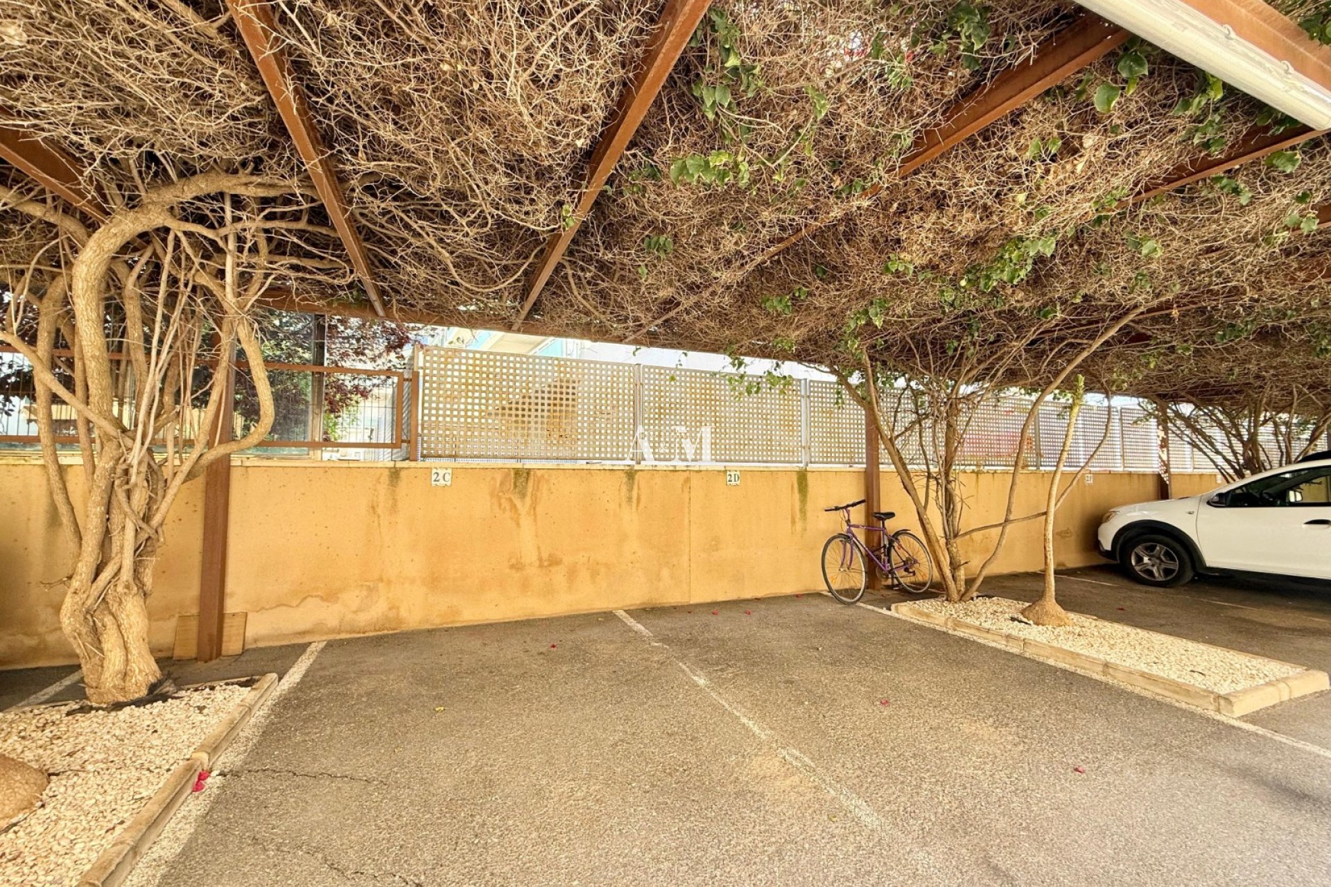 Alquiler a largo plazo - Apartamento / piso - Cabo Roig