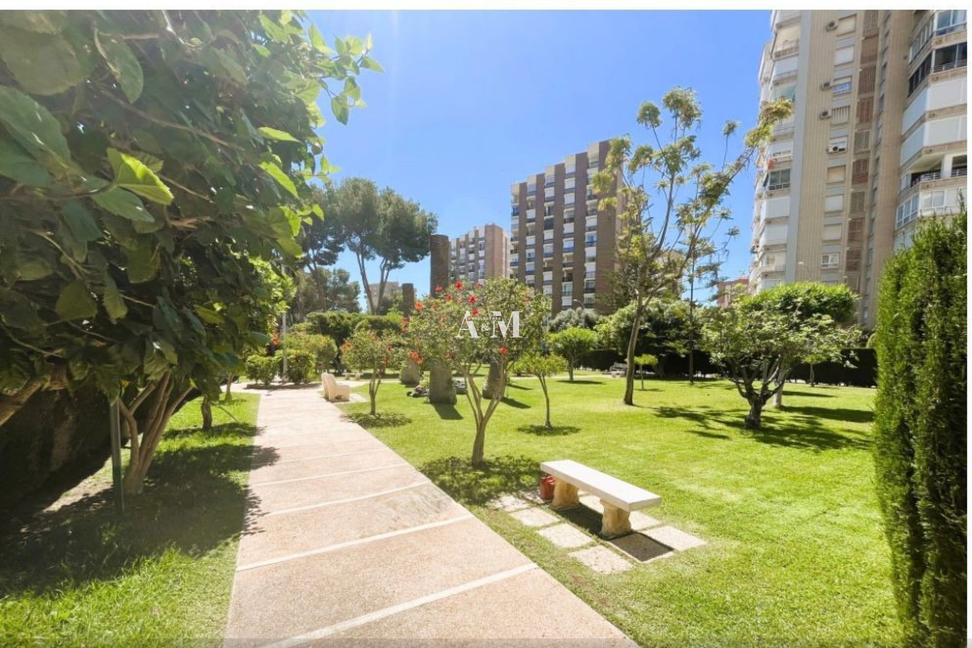 Alquiler a largo plazo - Apartamento / piso - Dehesa de Campoamor