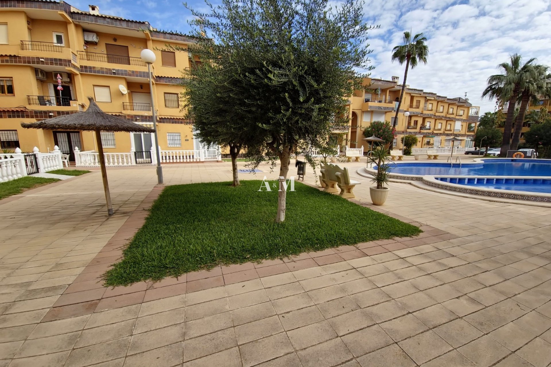 Alquiler a largo plazo - Apartamento / piso - Punta Prima