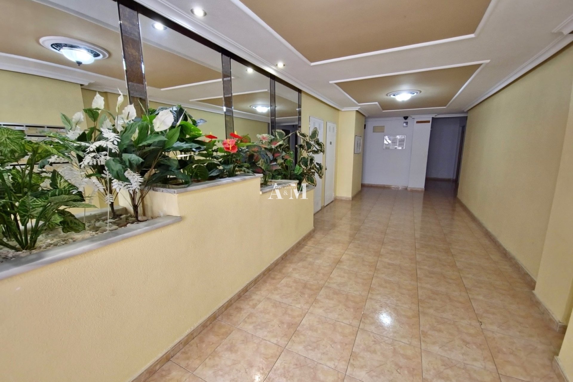 Alquiler a largo plazo - Apartamento / piso - Torrevieja - Centro
