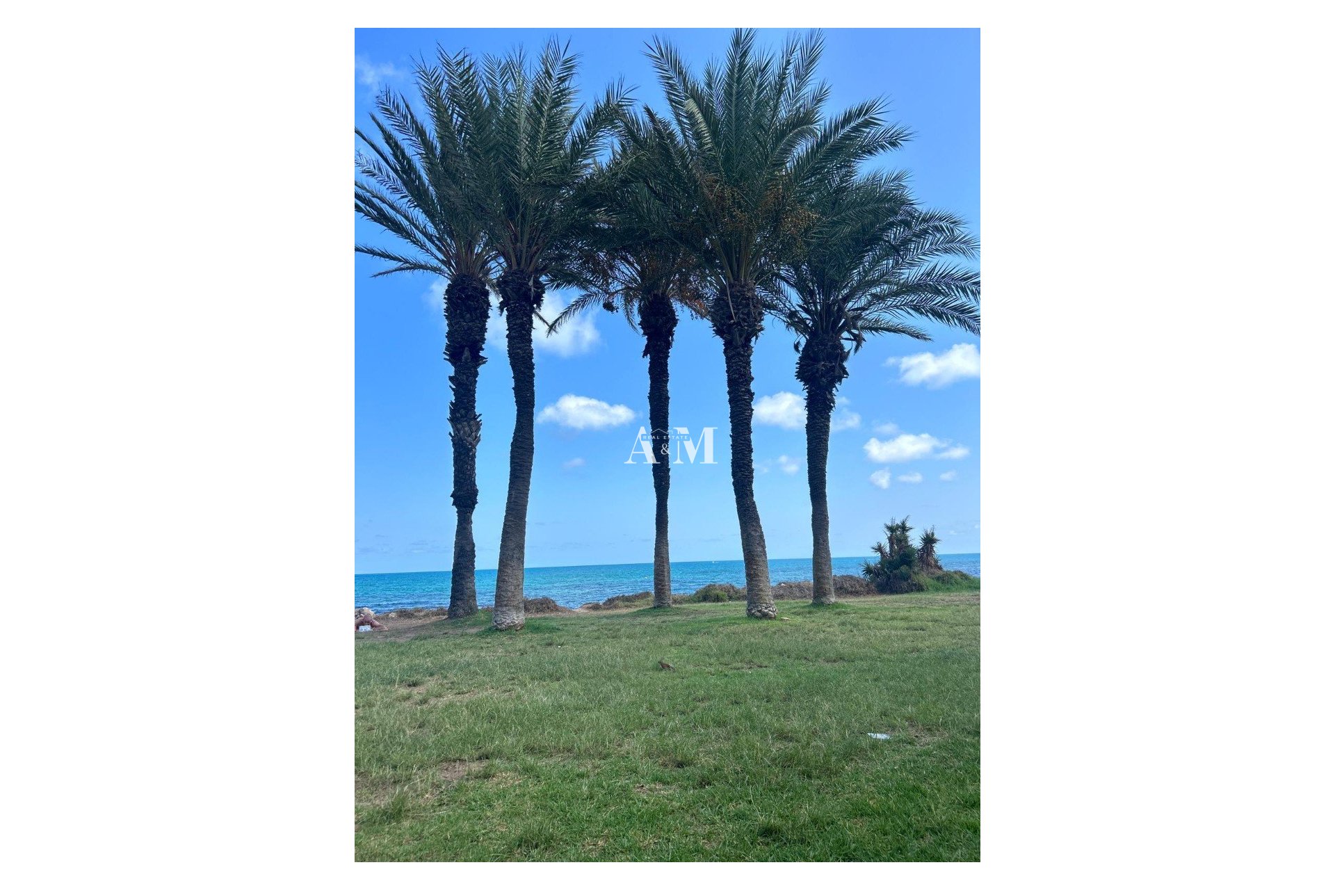 Alquiler a largo plazo - Apartamento / piso - Torrevieja - La Veleta