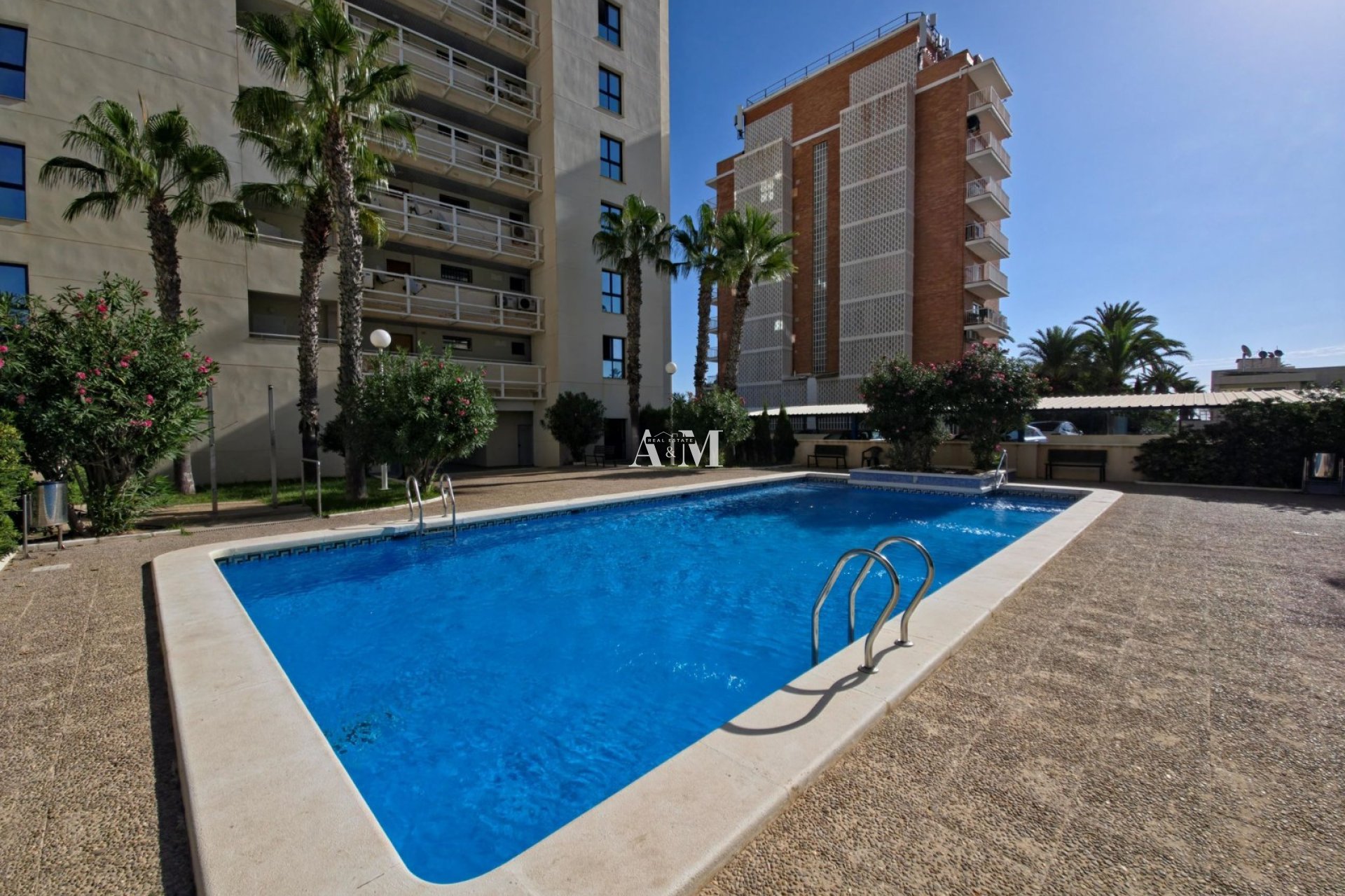 Alquiler a largo plazo - Apartamento / piso - Torrevieja - La Veleta