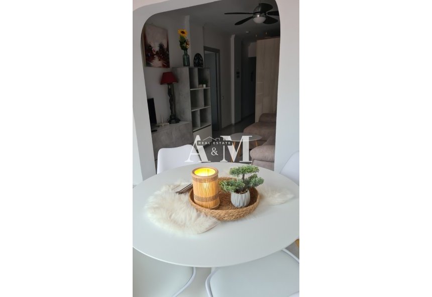 Alquiler a largo plazo - Apartamento / piso - Torrevieja - La Veleta