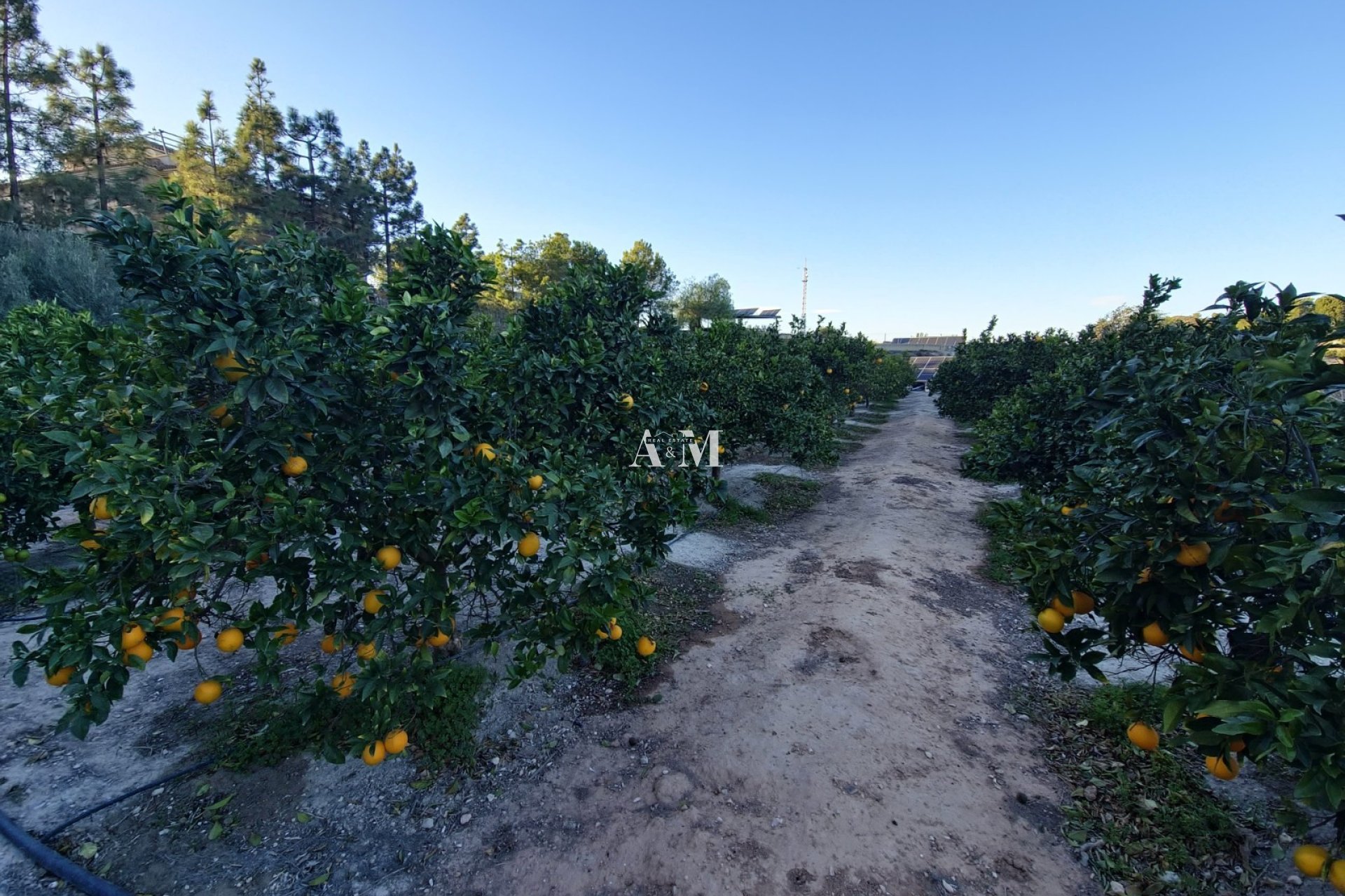 Alquiler a largo plazo - Bungalow - Orihuela
