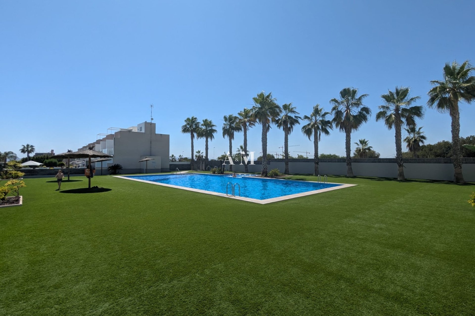 Alquiler a largo plazo - Estudio - Torrevieja - Nueva Torrevieja - Aguas Nuevas