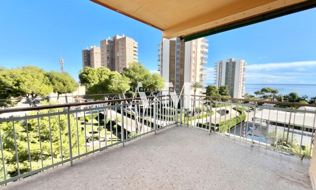 Apartamento / piso - Alquiler a largo plazo - Orihuela Costa - Ref-544CSJ