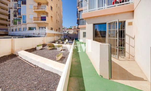 Apartment / flat - Long Term Rental - La Mata - La Mata