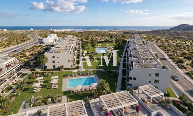 apartment - New Build - Vera - Vera