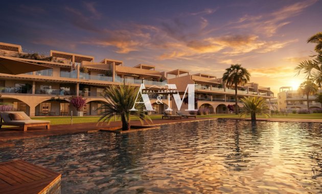 apartment - New Build - Vera - Vera