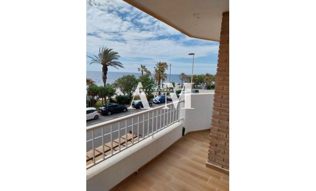 Appartement - Location à long terme - Torrevieja - Playa del Cura