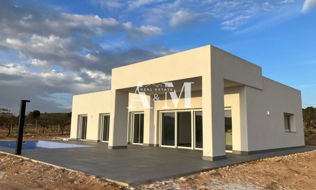 detached - New Build - Pinoso - Pinoso