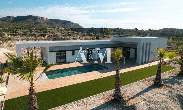 detached - New Build - Pinoso - Pinoso