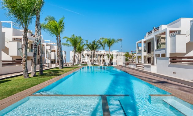 high-bungalow - New Build - Torrevieja - Torrevieja