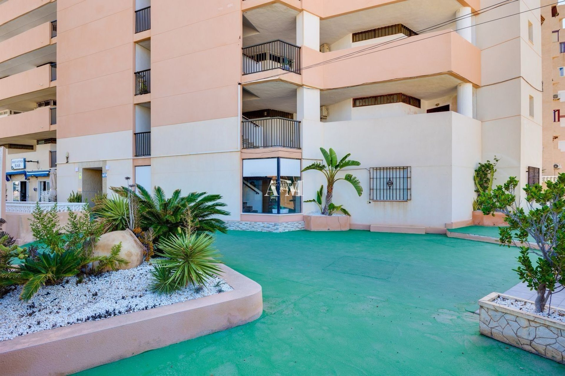 Location à long terme - Appartement - La Mata