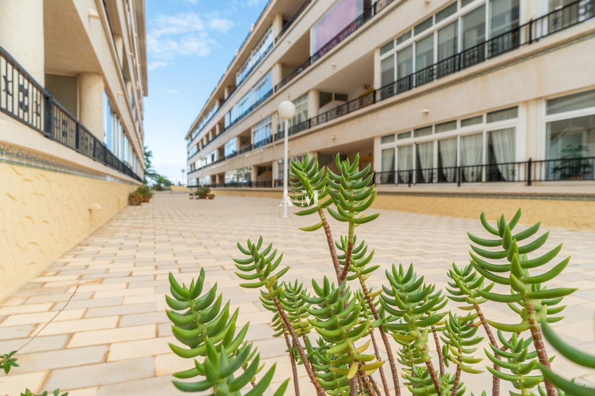 Location à long terme - Appartement - Orihuela Costa - Playa Flamenca