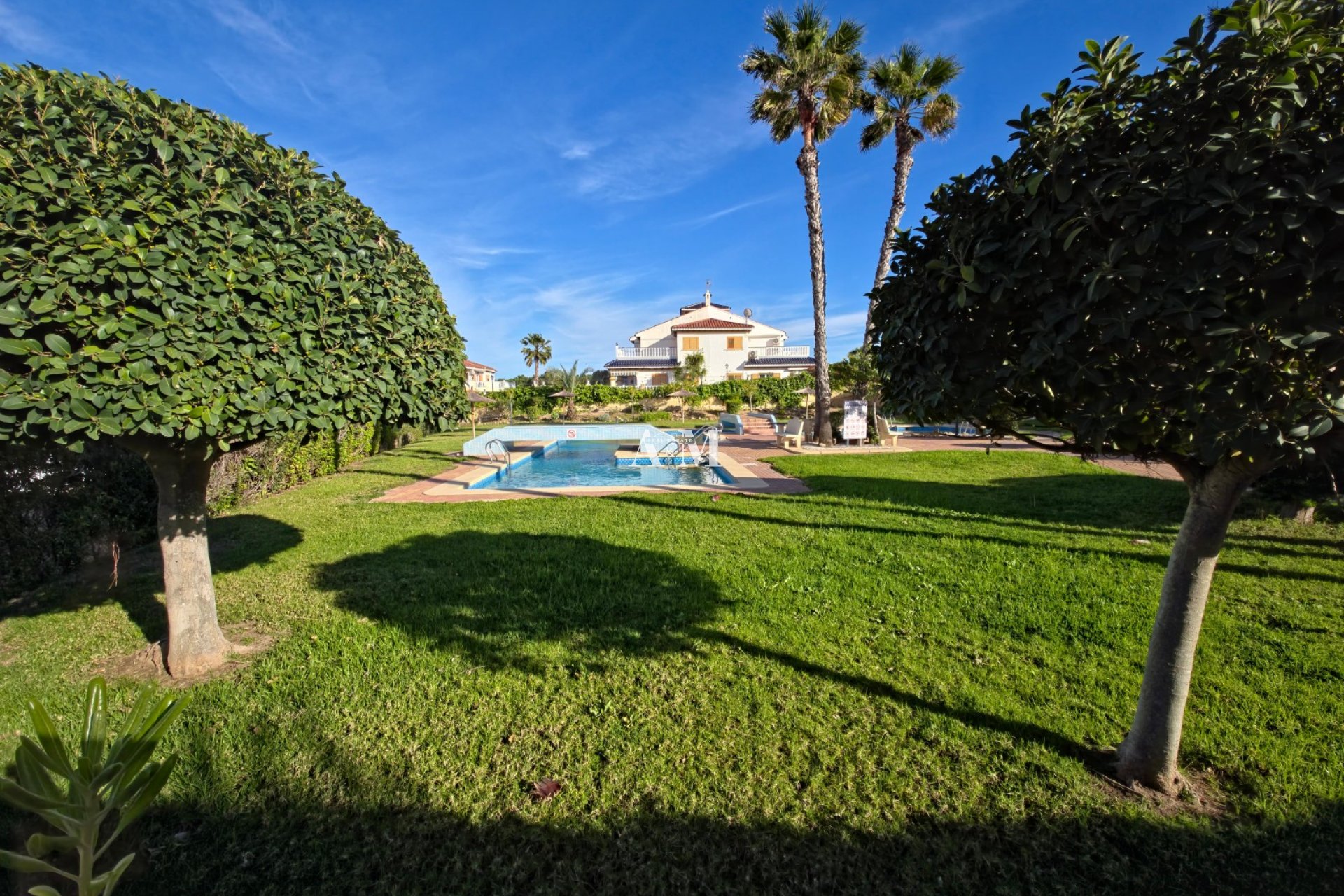 Location à long terme - Appartement - Torrevieja - Torrelamata - La Mata