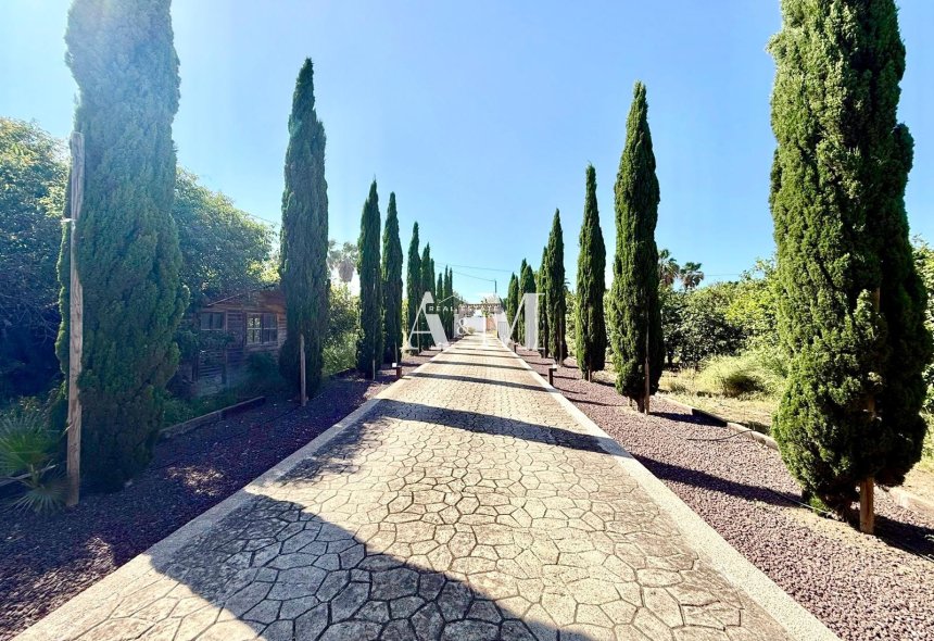 Location à long terme - Ville - San Miguel de Salinas