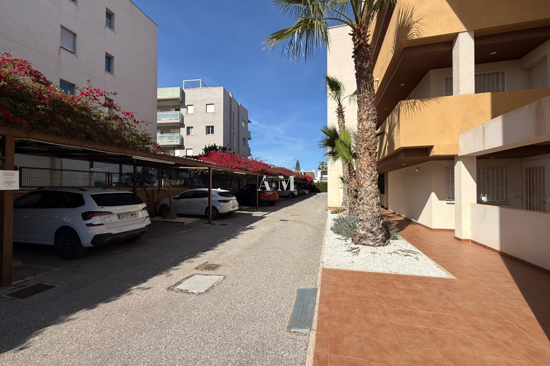 Long Term Rental - Apartment / flat - Cabo Roig