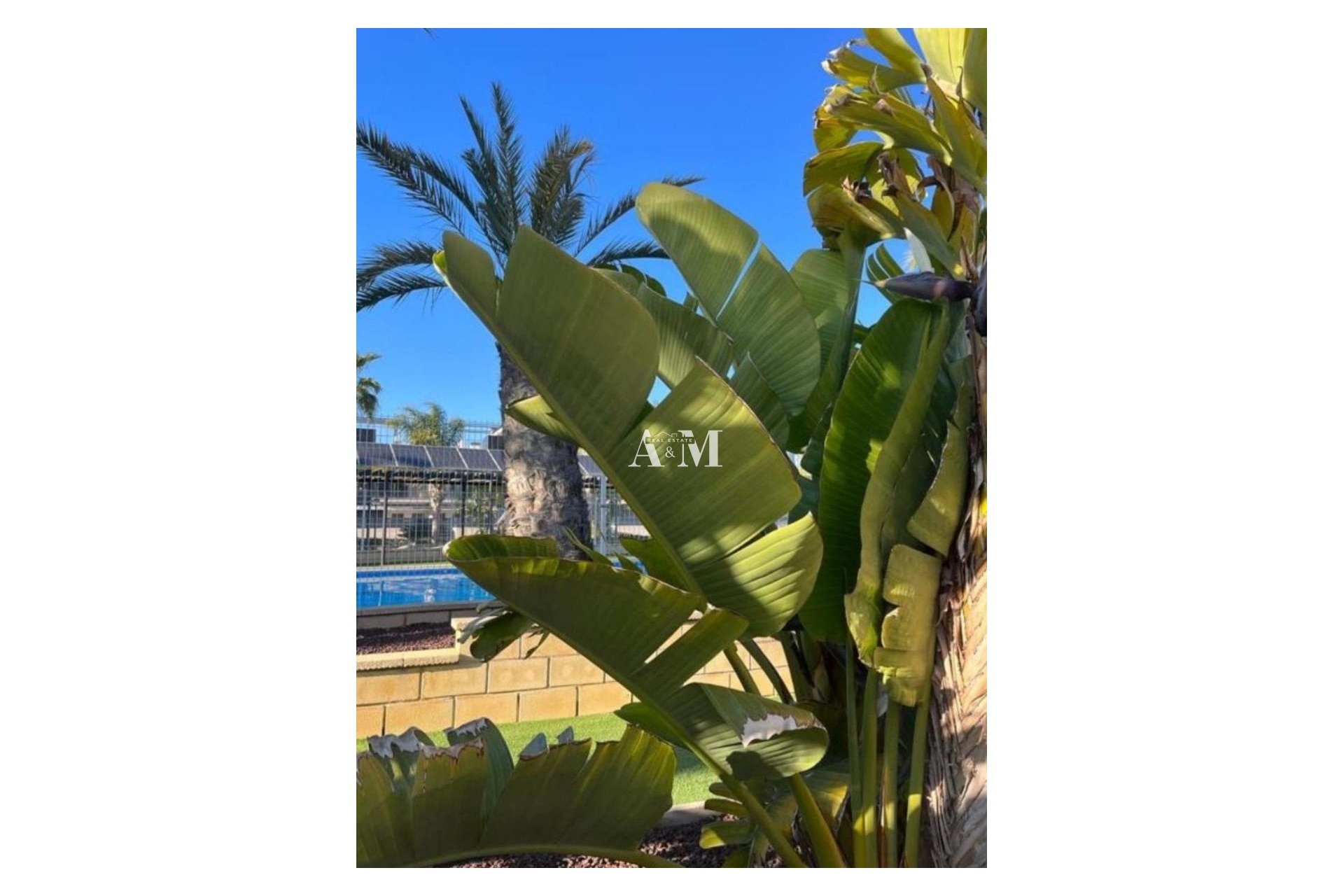 Long Term Rental - Apartment / flat - Orihuela Costa - Los Dolses