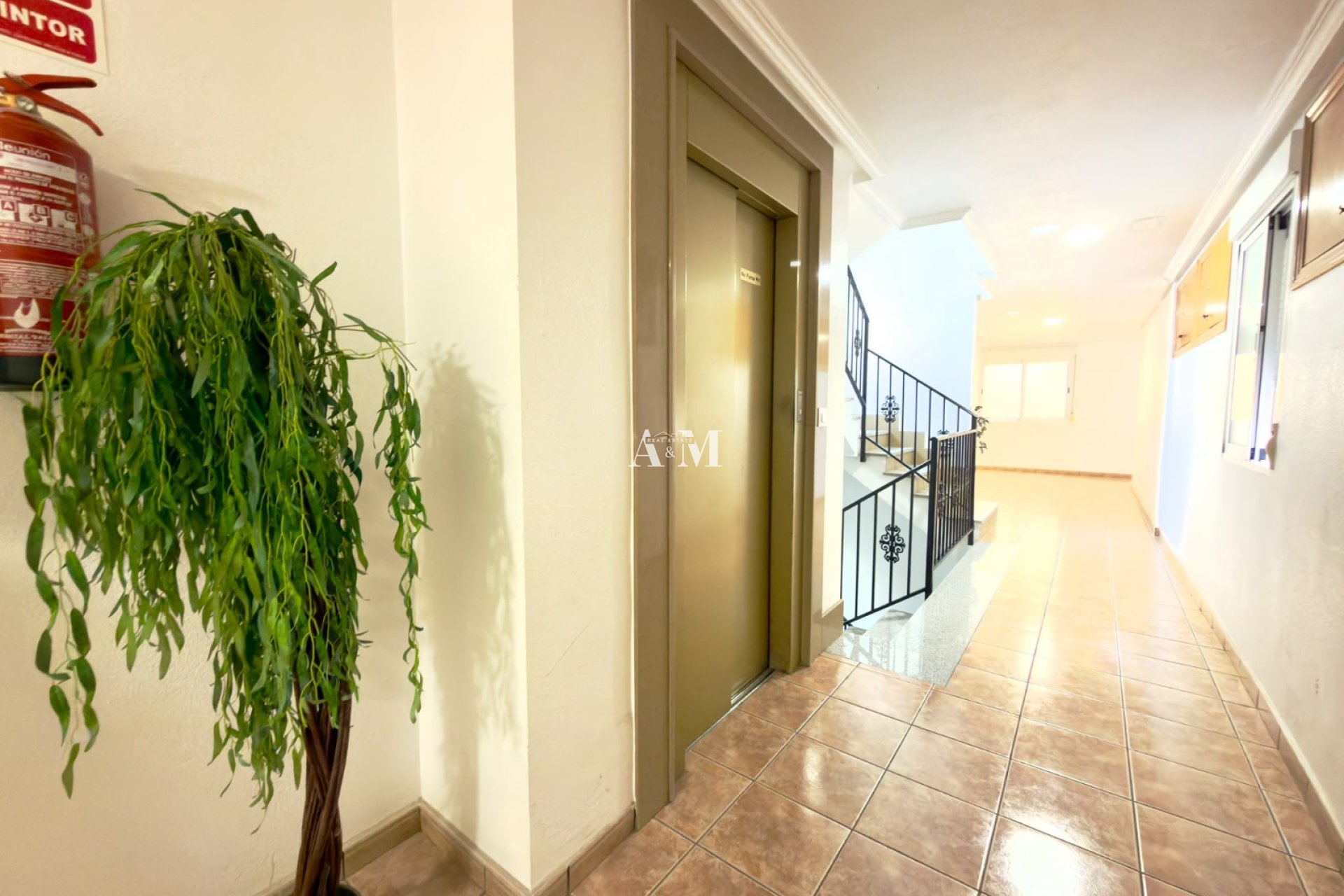 Long Term Rental - Apartment / flat - Pilar de la Horadada
