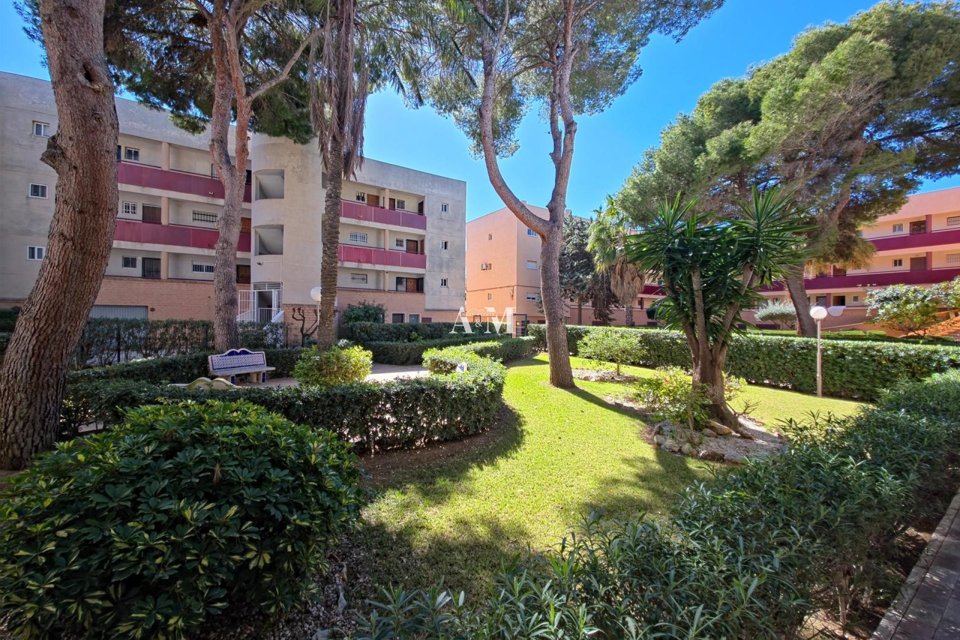 Long Term Rental - Apartment / flat - Torre de la Horadada - Mil Palmeras