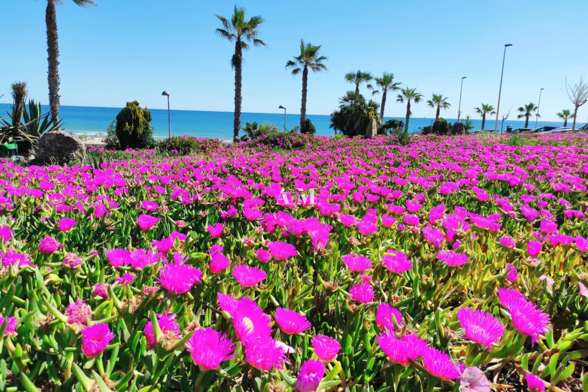 Long Term Rental - Apartment / flat - Torre de la Horadada