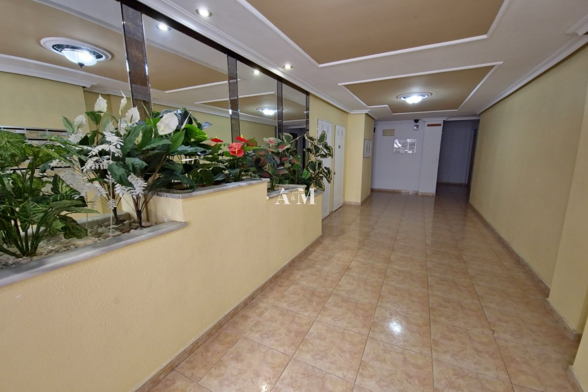 Long Term Rental - Apartment / flat - Torrevieja - Centro