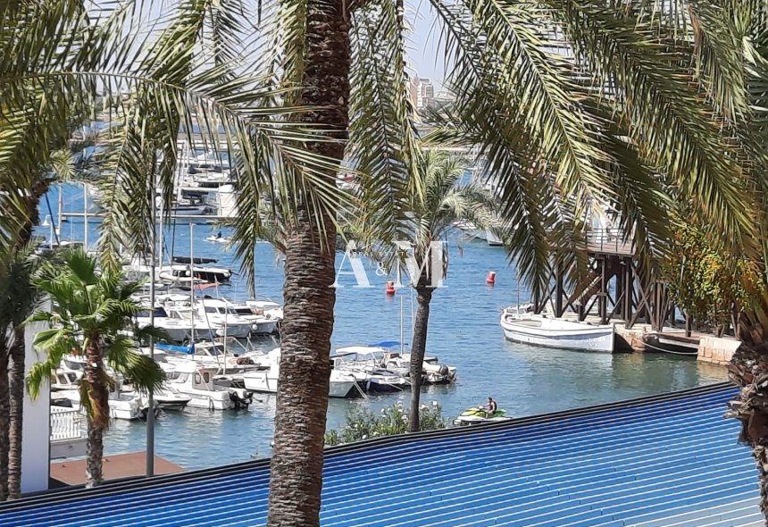 Long Term Rental - Apartment / flat - Torrevieja - Centro