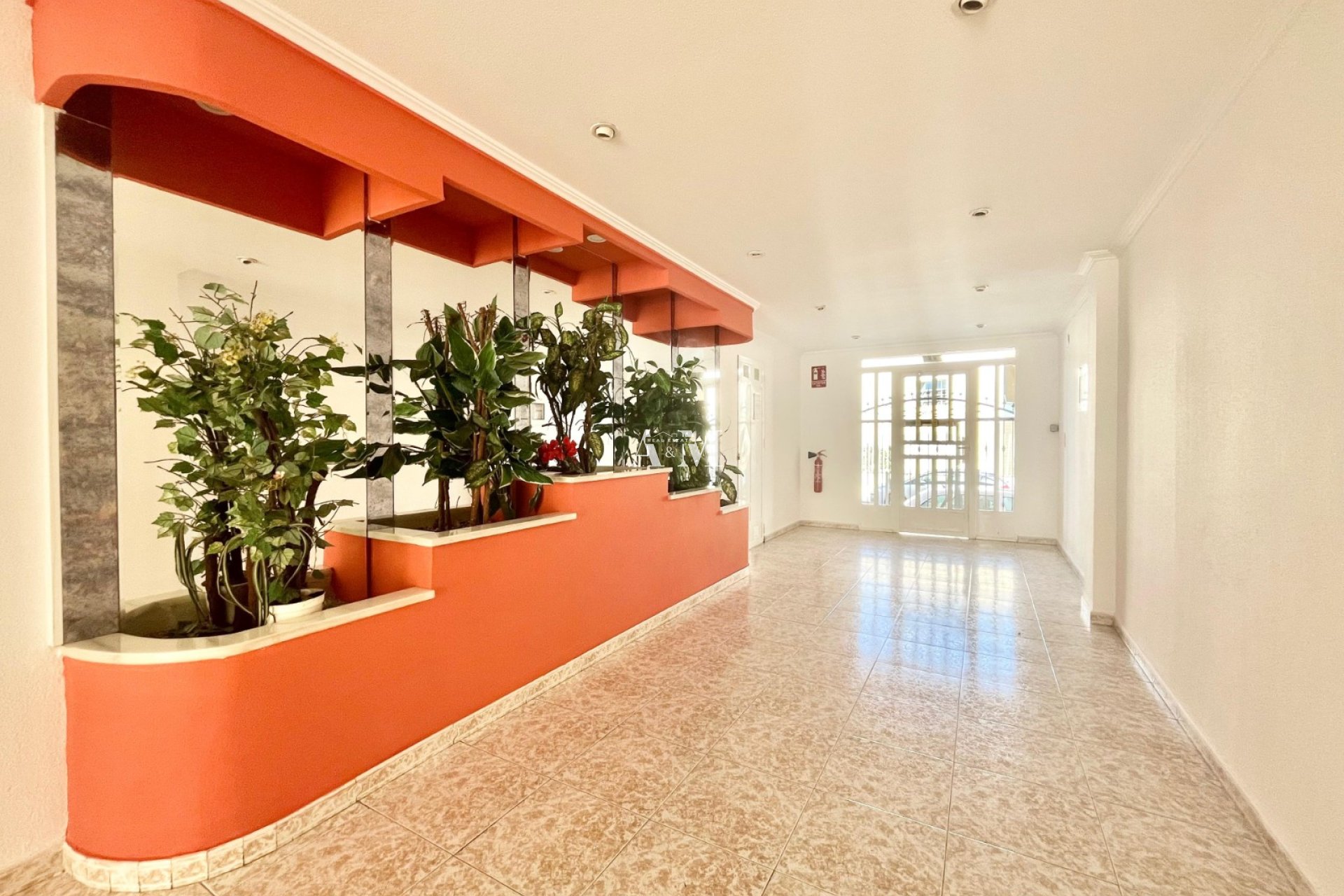 Long Term Rental - Apartment / flat - Torrevieja - El Acequión - Los Náufragos