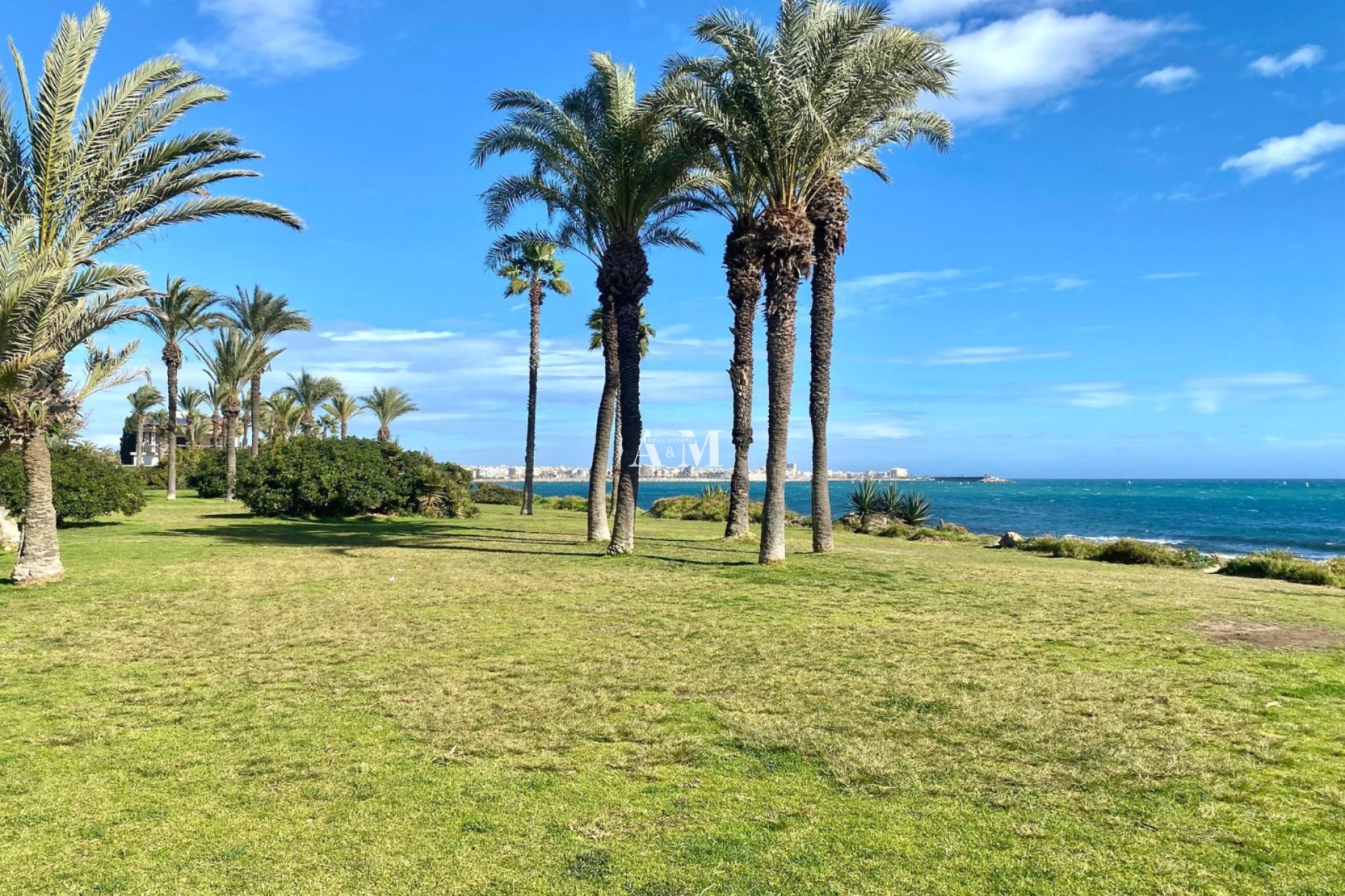 Long Term Rental - Apartment / flat - Torrevieja - La Veleta