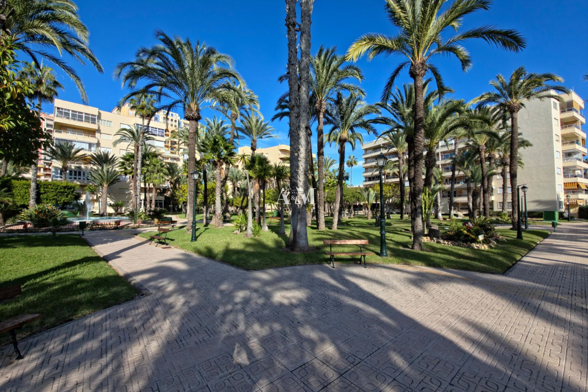 Long Term Rental - Apartment / flat - Torrevieja - Playa de los Locos