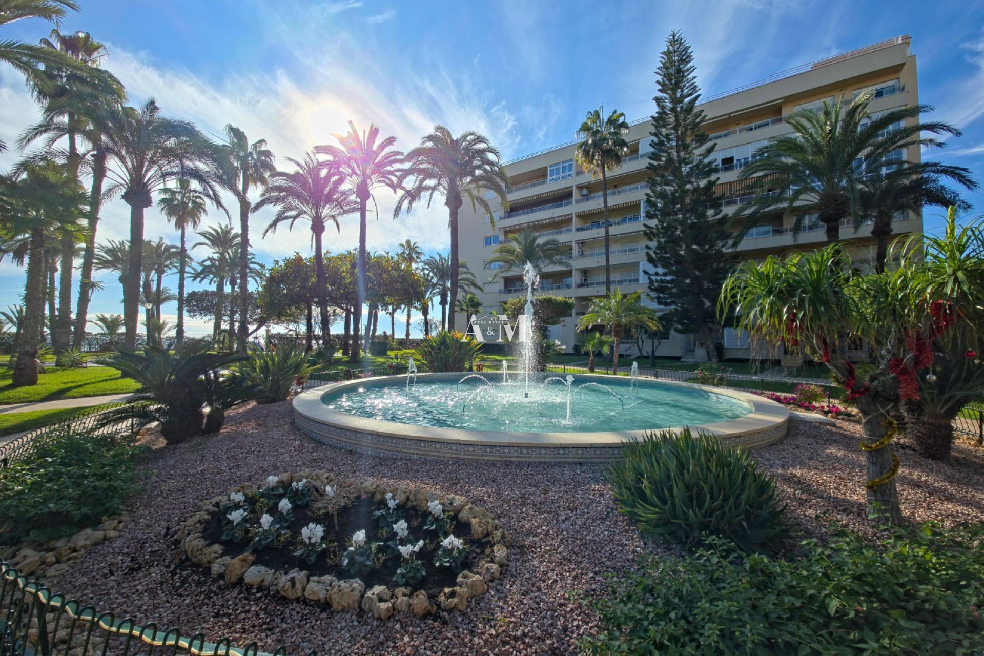 Long Term Rental - Apartment / flat - Torrevieja - Playa de los Locos