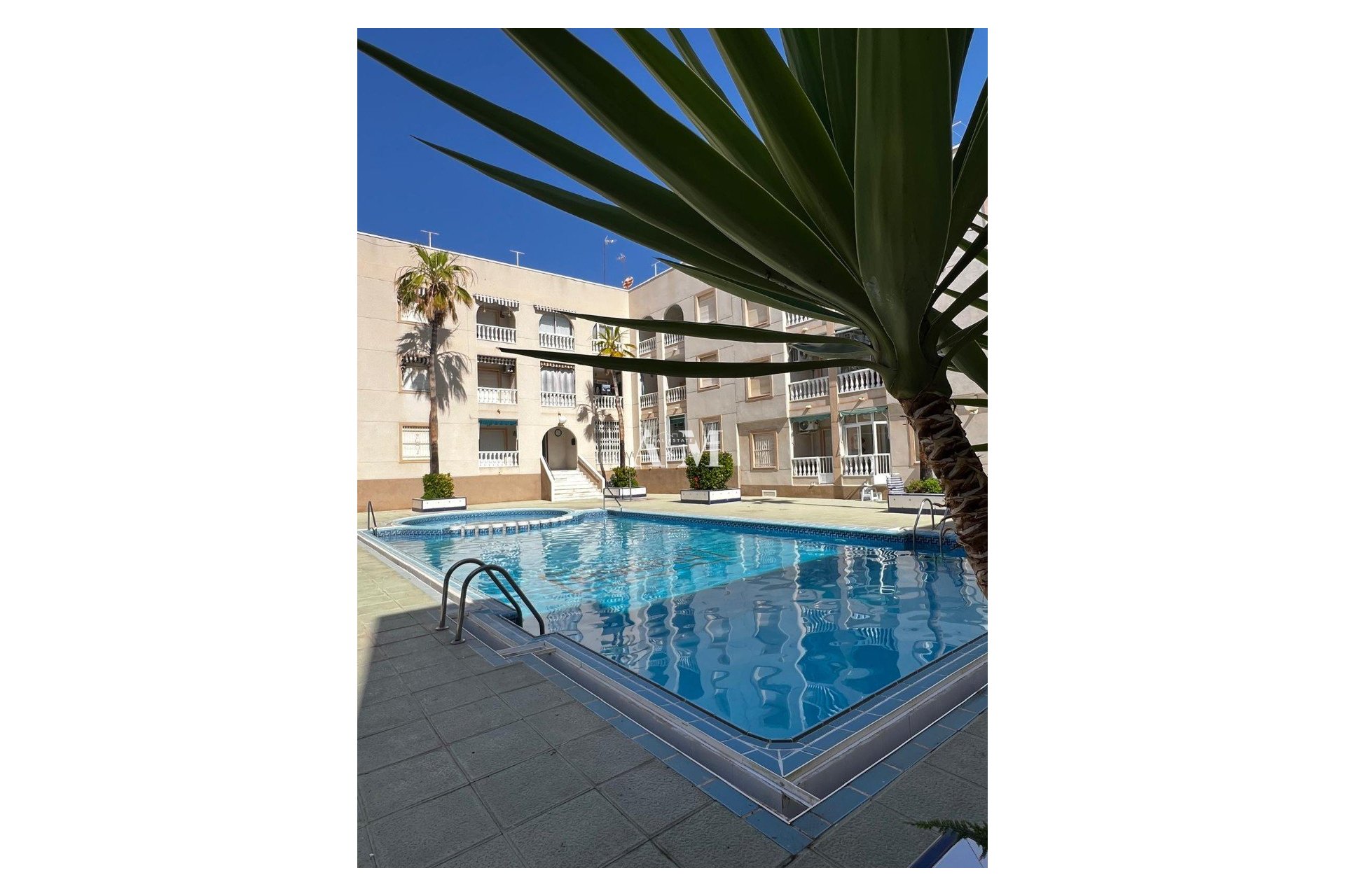 Long Term Rental - Apartment / flat - Torrevieja - Playa de los Locos