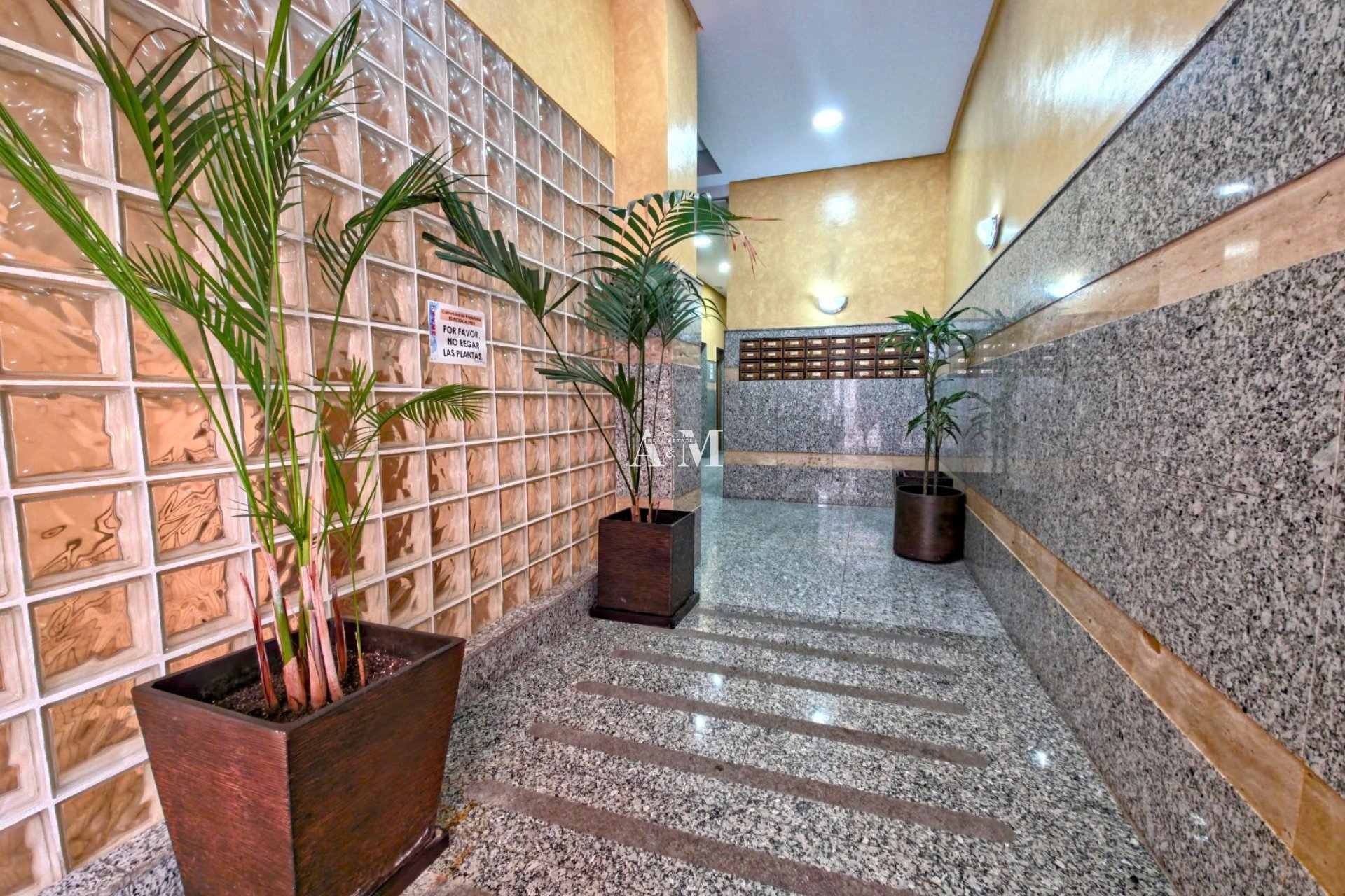Long Term Rental - Apartment / flat - Torrevieja - Playa del Cura