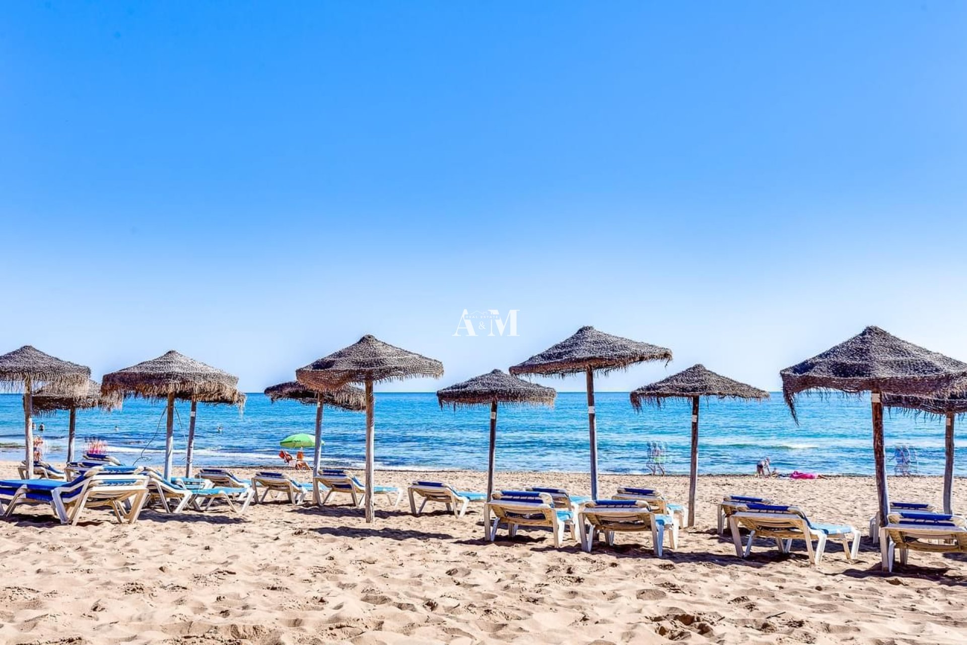 Long Term Rental - Study - Torrevieja - Torrelamata - La Mata