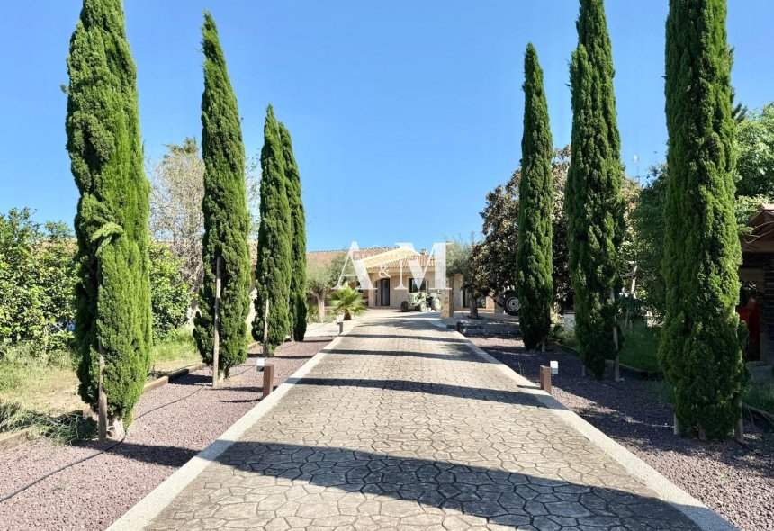 Long Term Rental - Villa - San Miguel de Salinas