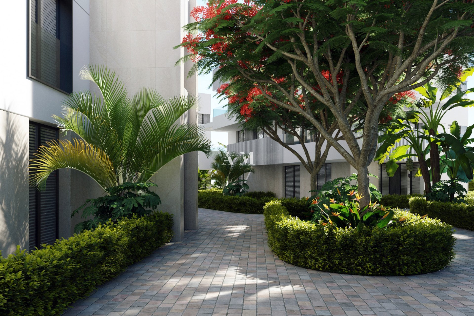 New Build - Penthouse - Santa Rosalía
