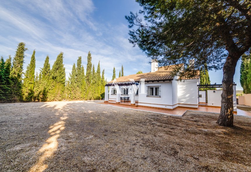 Nouvelle construction - detached - Fuente Alamo