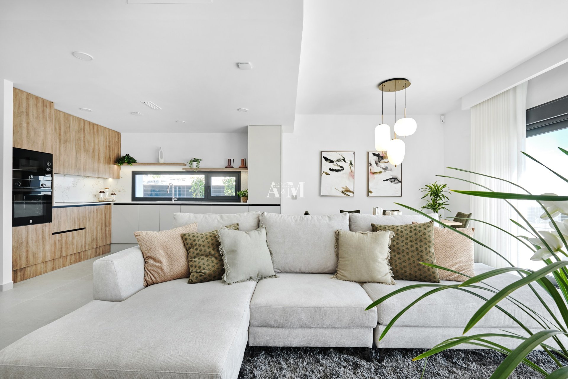 Nouvelle construction - detached - San Miguel de Salinas