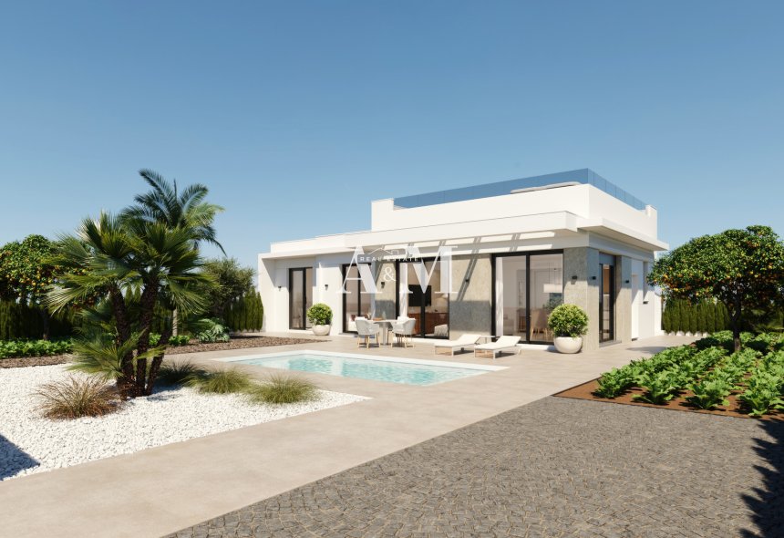 Новое здание - detached - Hacienda del Alamo Golf