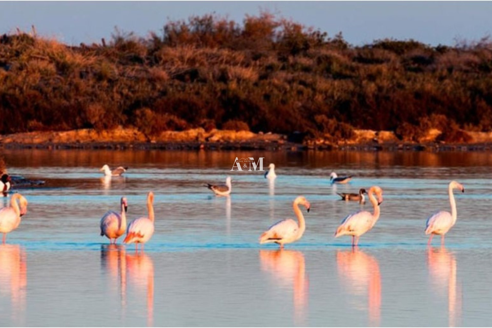 Новое здание - detached - San Pedro del Pinatar