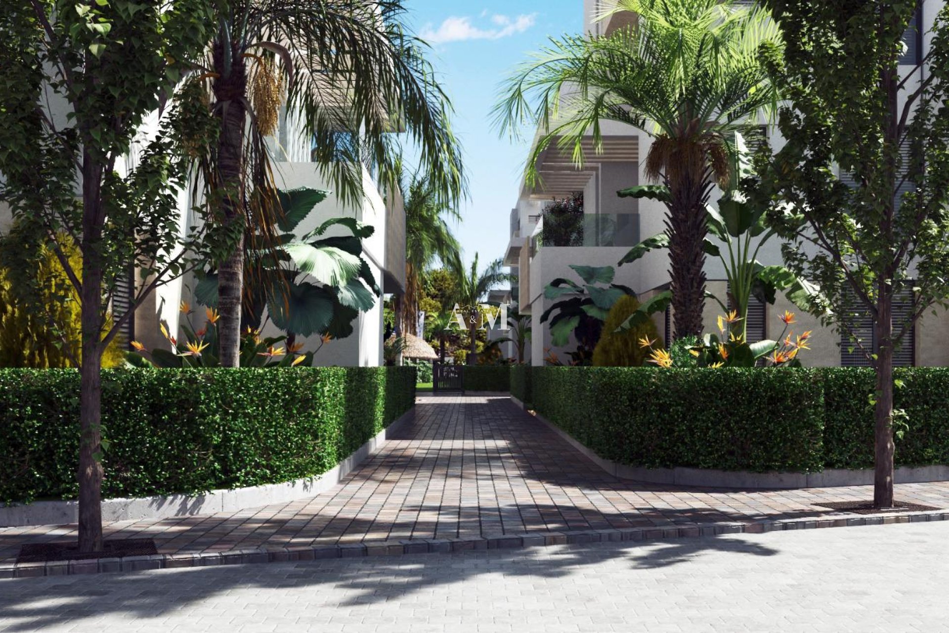 Obra nueva - apartment - Santa Rosalía