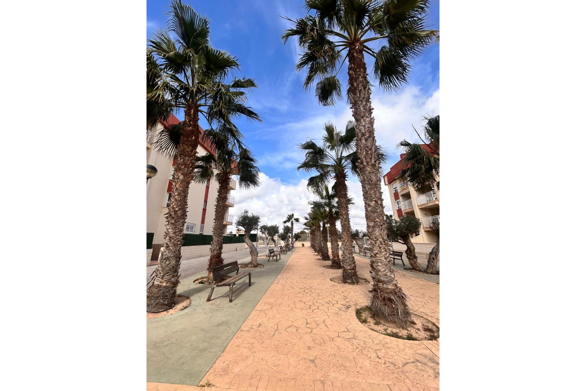 Obra nueva - Ático - Orihuela