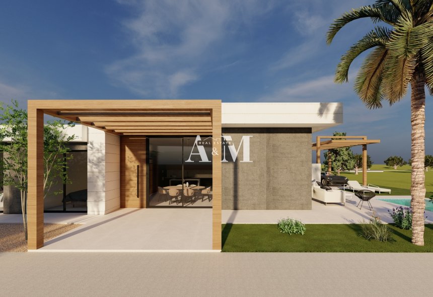 Obra nueva - detached - Pilar de la Horadada