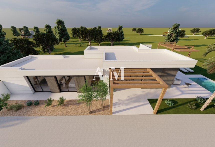 Obra nueva - detached - Pilar de la Horadada