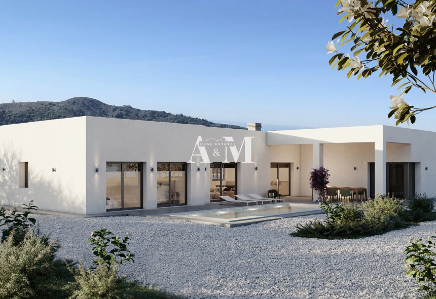 Obra nueva - detached - Pinoso