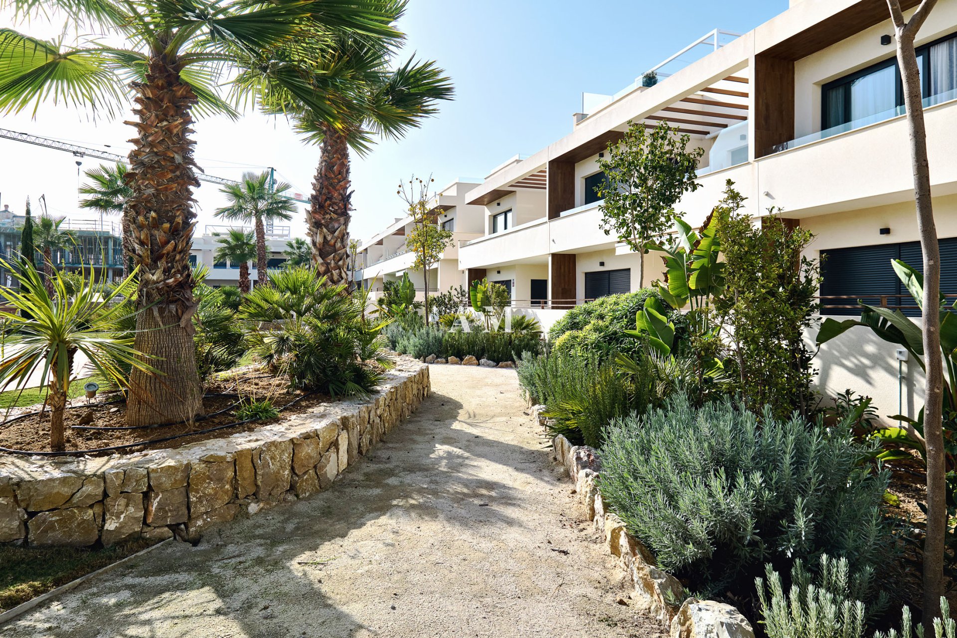 Obra nueva - high-bungalow - Torrevieja