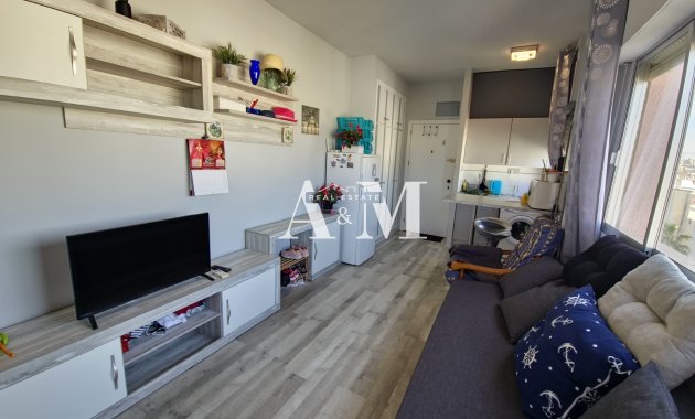 Study - Long Term Rental - Torrevieja - Centro