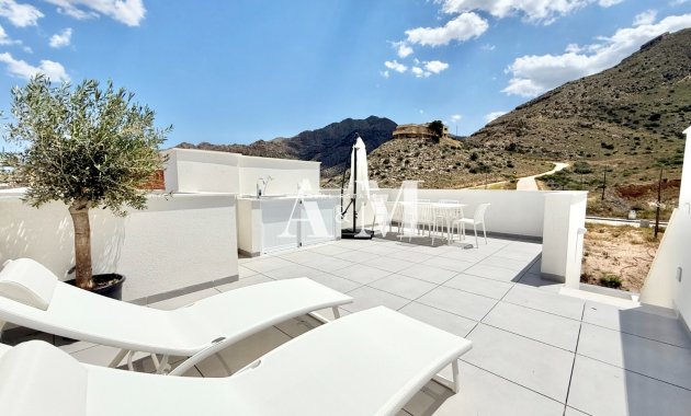 terraced - New Build - Cox - Cox