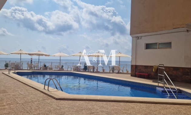 Long Term Rental - Apartment / flat - Torrevieja - Playa del Cura